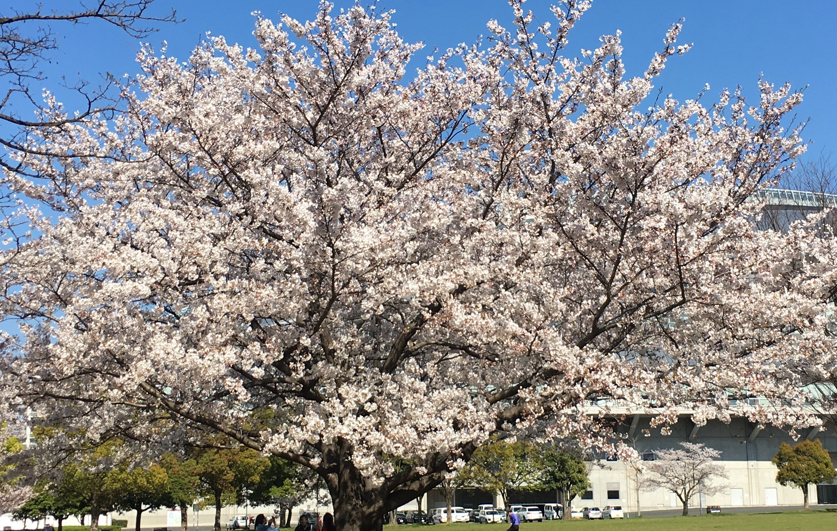 自己紹介～副業で毎月10万の収入～