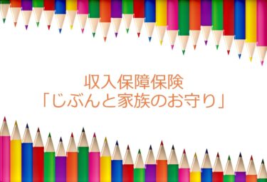 収入保障保険の自分と家族のお守り（損保ひまわり生命）がお薦め！