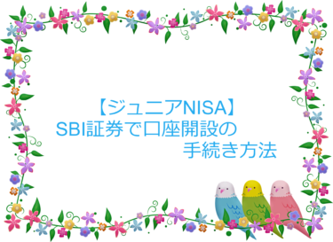 【ジュニアNISA】SBI証券で子供の未成年口座開設の方法と注意点