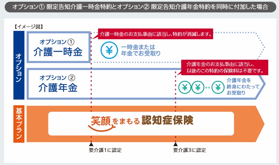 介護一時金と介護年金の説明