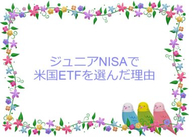 ジュニアNISAで米国ETFの積立開始！学資保険の代わりに教育資金目的で。