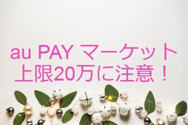 【2020年12月】2回目の還元祭の注意する点。ポイントサイト経由は上限を意識しておこう