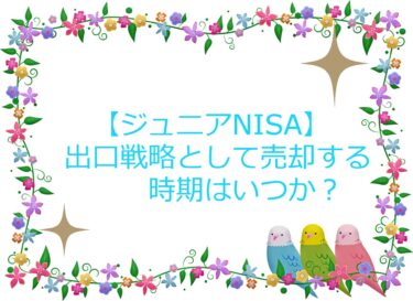 【ジュニアNISA】出口戦略として売却する時期はいつか？お金が必要な時に暴落したらどうする？