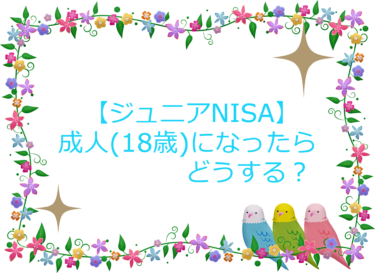 ジュニアNISA　成人したらどうする