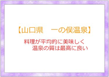 一の俣温泉の「一の俣観光ホテル」は予想より料理美味しく平均以上でした